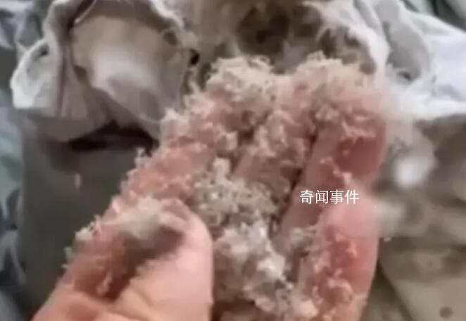 女子稱波司登羽絨服剪開全是碎末 此事在網上引發熱議