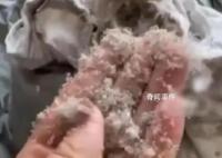 女子稱波司登羽絨服剪開全是碎末 此事在網上引發熱議