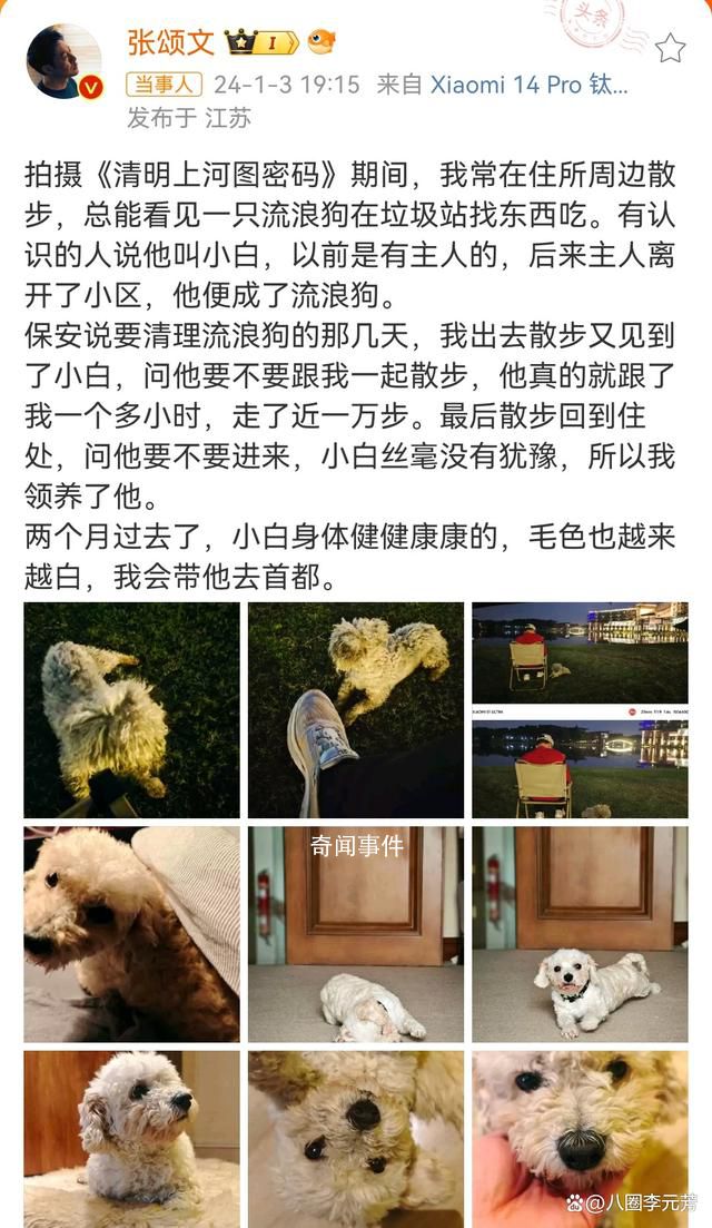 張頌文領養了流浪狗 網友紛紛感慨張頌文十分有愛心
