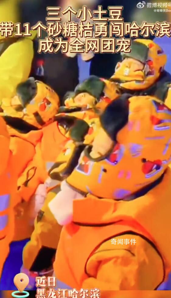 三個小土豆帶11個砂糖橘勇闖哈爾濱