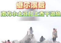 繼爾濱后南方小土豆盯上查干湖魚