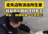 1只邊牧被救咕嚕咕嚕變3只