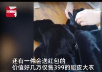 主播稱幾萬元貂皮賣399大媽狂下單