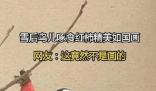 雪后鳥兒啄食紅柿神還原國畫 引發了廣泛關注