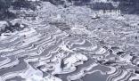 貴州梯田雪后形成大地指紋 大自然饋贈的美景