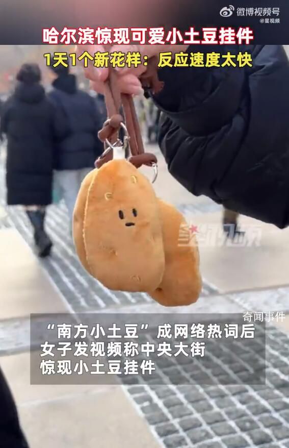 哈爾濱驚現小土豆掛件 網友：爾濱就是牛