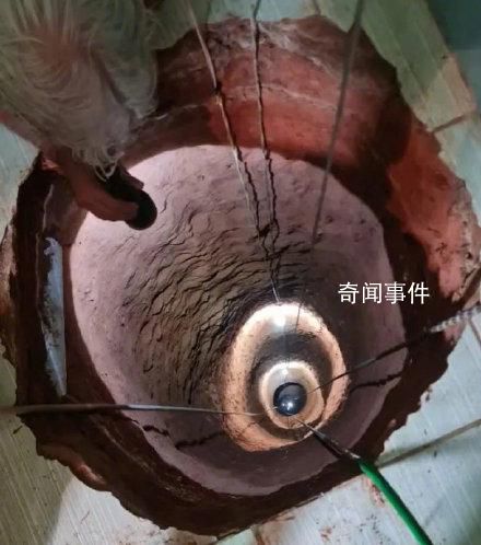 男子夢到家中有黃金挖40米深洞摔死