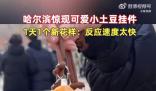 哈爾濱驚現小土豆掛件 網友：爾濱就是牛
