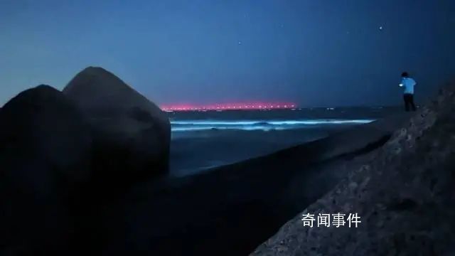 珠海一沙灘出現藍眼淚奇觀 宛如一條流動的藍色星河