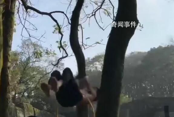 重慶70歲大爺逆生長:滿頭烏黑發