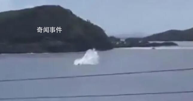 好萊塢男星與兩女兒墜機(jī)身亡 墜機(jī)原因仍在調(diào)查當(dāng)中