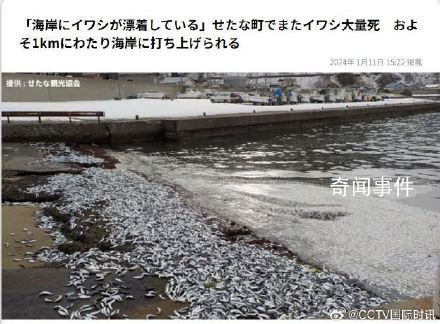 日本北海道海岸再現大量死魚