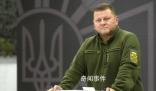 曝烏軍總司令扎盧日內(nèi)被解職