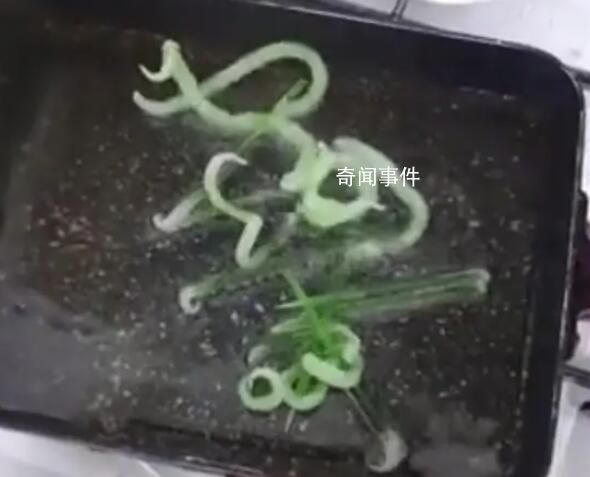 韓國吃炸牙簽視頻爆紅 淀粉牙簽并非食品無法保證安全