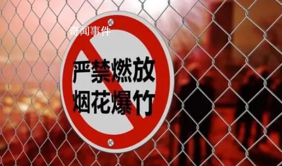 春節期間該不該禁放煙花爆竹