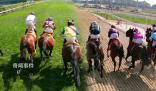澳門今年4月起停辦賽馬活動