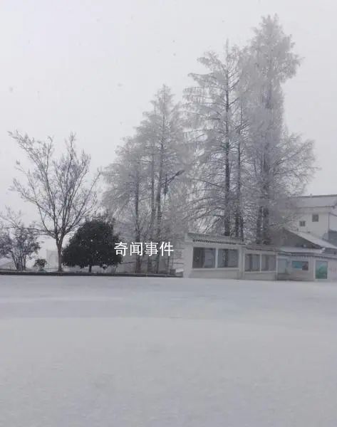 張家界迎來2024年首場(chǎng)大雪