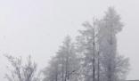 張家界迎來2024年首場(chǎng)大雪