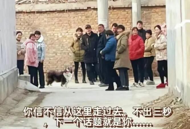 青年外出打工3年被傳“已被槍斃”