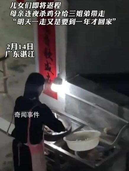 媽媽連夜斬十只雞分給離鄉兒女 分給三姐弟帶走