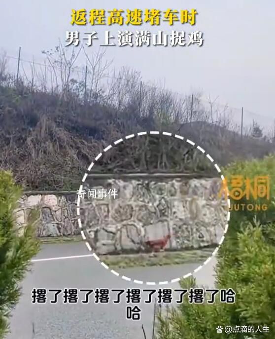 返程高速堵車時男子上演滿山捉雞 引起了網友們的熱議和調侃