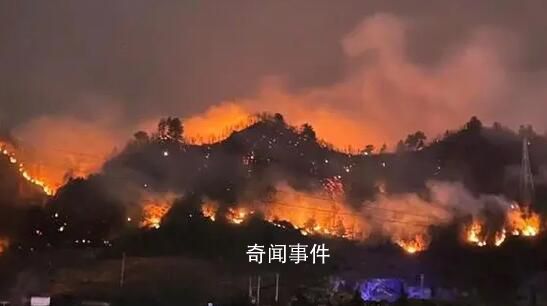 貴州山火受災農民大哭:家被燒沒了