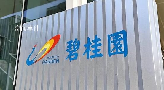 碧桂園被提出清盤呈請 回應稱堅決反對