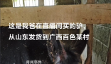 大哥回應直播間賣活驢:賣了上千頭