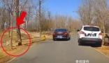 女子野生動物園下車?yán)乔那目拷?太可怕了