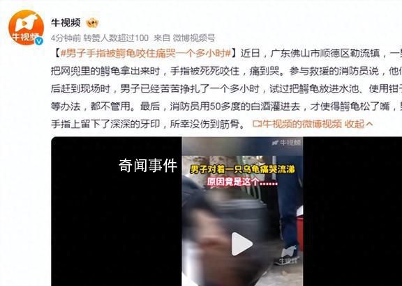 男子手指被鱷龜咬住痛哭一個多小時 引起了廣泛的關(guān)注和討論