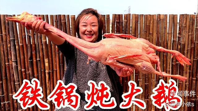 鐵鍋燉大鵝被帶火 大鵝:我有點想法