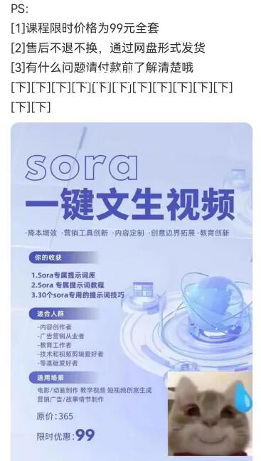 第一撥靠Sora賺錢的人已經出現