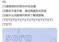 第一撥靠Sora賺錢的人已經(jīng)出現(xiàn)
