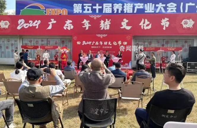 廣東年豬王18888元成交:重434斤