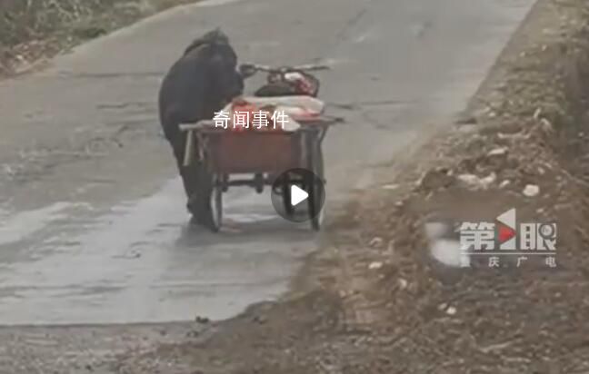 男孩雨中幫老奶奶推三輪車上坡 家長：孩子主動要求幫忙