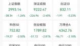 A股再度跌破3000點(diǎn)大關(guān) A股主要指數(shù)今日齊挫