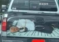 特朗普所發(fā)視頻畫面現(xiàn)“拜登被綁”