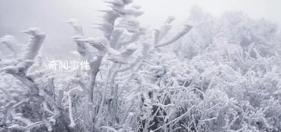 好消息:回暖了 壞消息:回南天來了