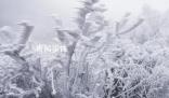 好消息:回暖了 壞消息:回南天來了