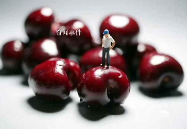 價格差5倍 櫻桃和車?yán)遄佑惺裁磪^(qū)別