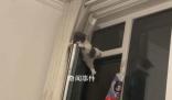 小貓跳上窗戶被卡欄桿中間 貓：還不快抱我下來