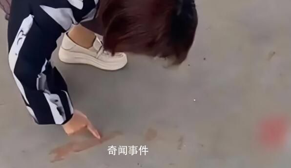 “提燈定損”又現浙江?