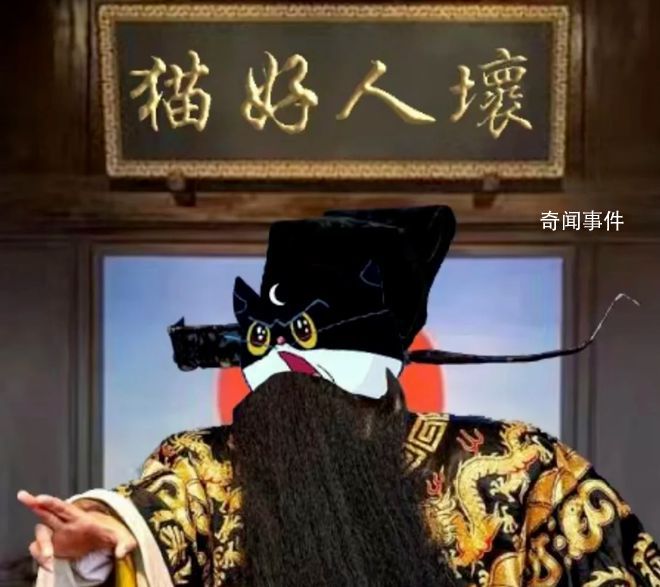 貓好人壞是什么梗 貓好人壞是什么意思