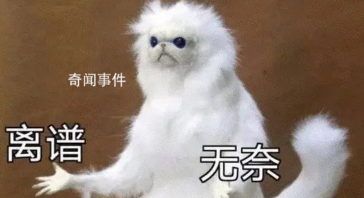  * 有多離譜是什么梗  * 有多離譜是什么意思