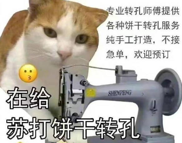 很忙在給蘇打餅干打孔是什么梗 很忙在給蘇打餅干打孔是什么意思