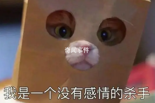 一無是畜是什么梗 一無是畜是什么意思