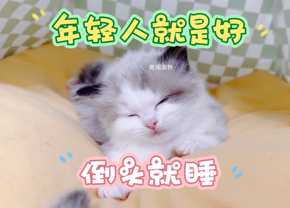 年輕真好倒頭就睡是什么梗 年輕真好倒頭就睡是什么意思