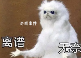  * 有多離譜是什么梗  * 有多離譜是什么意思