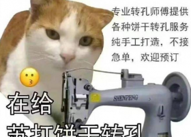 很忙在給蘇打餅干打孔是什么梗 很忙在給蘇打餅干打孔是什么意思