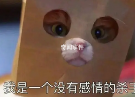 一無是畜是什么梗 一無是畜是什么意思